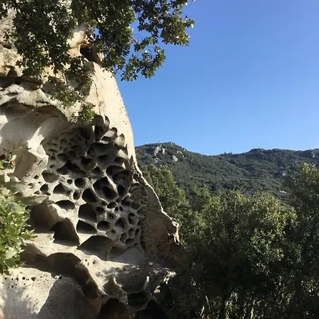 La Casa Di Sara Apartment
